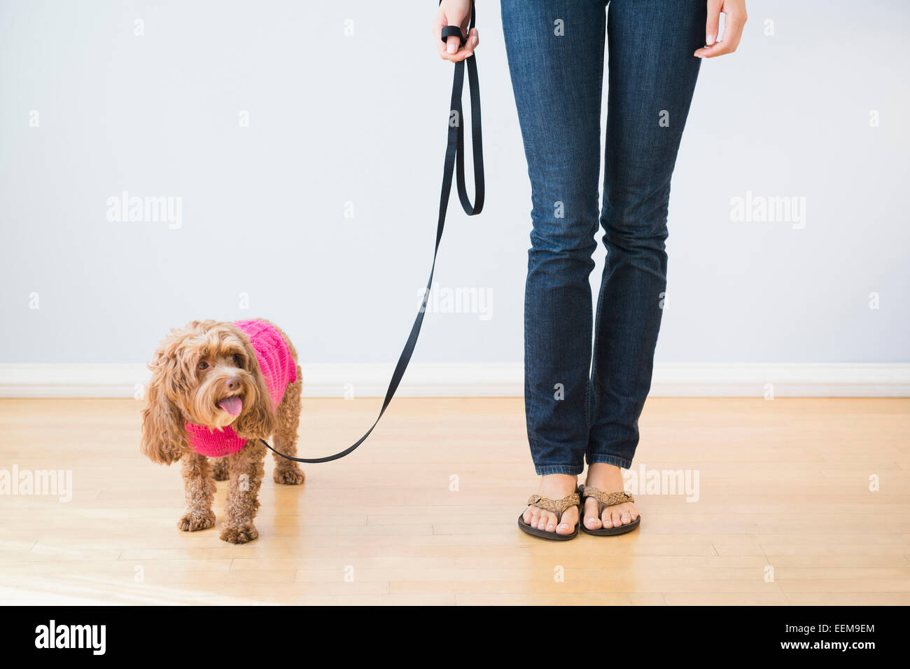 Caucasian woman with pet dog on leash Stock Photo