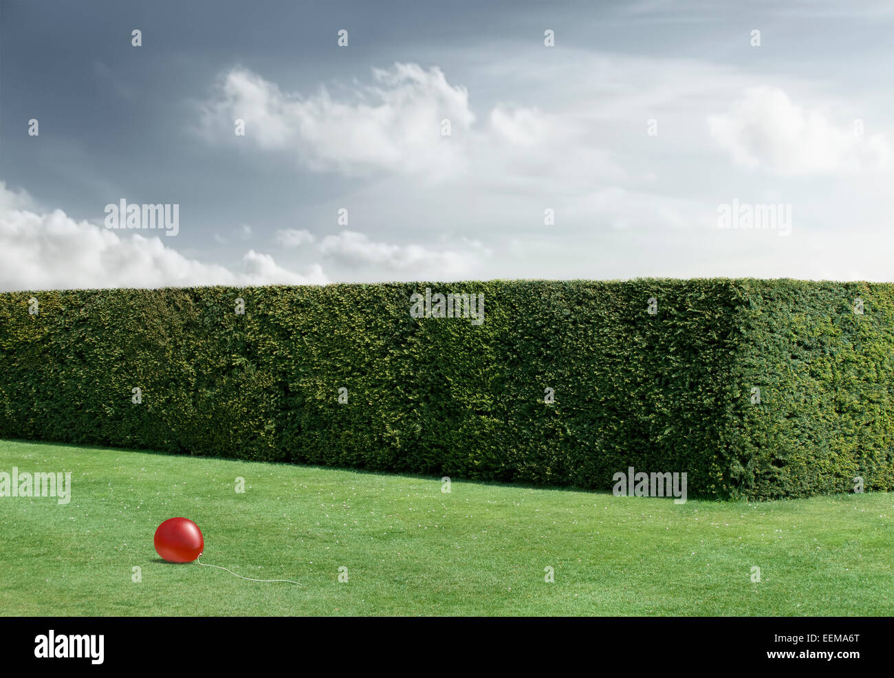 Red balloon laying on lawn by neatly trimmed hedges Stock Photo