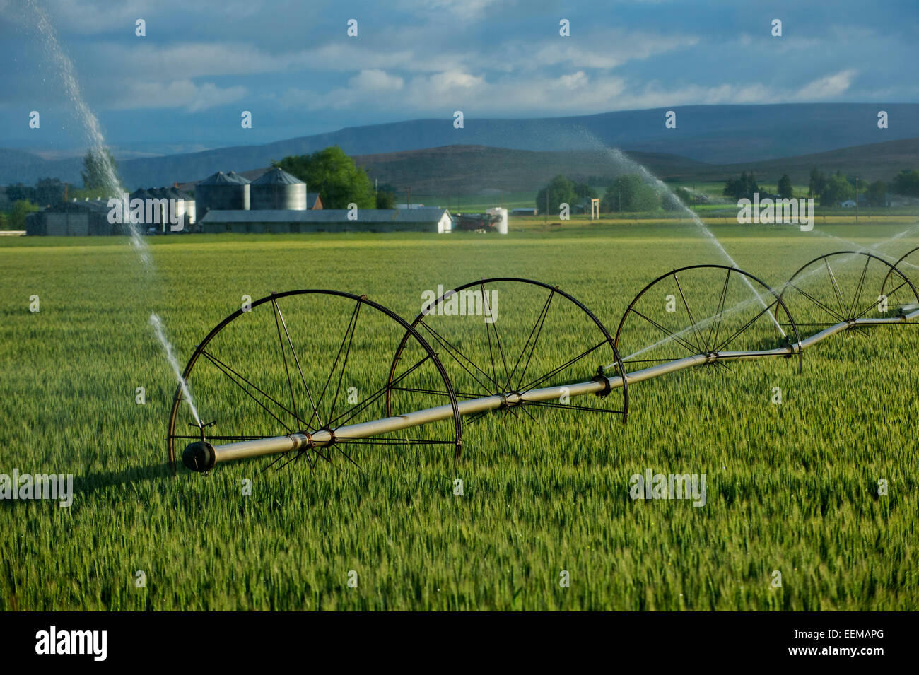 Irrigation system watering crops on farm field Stock Photo