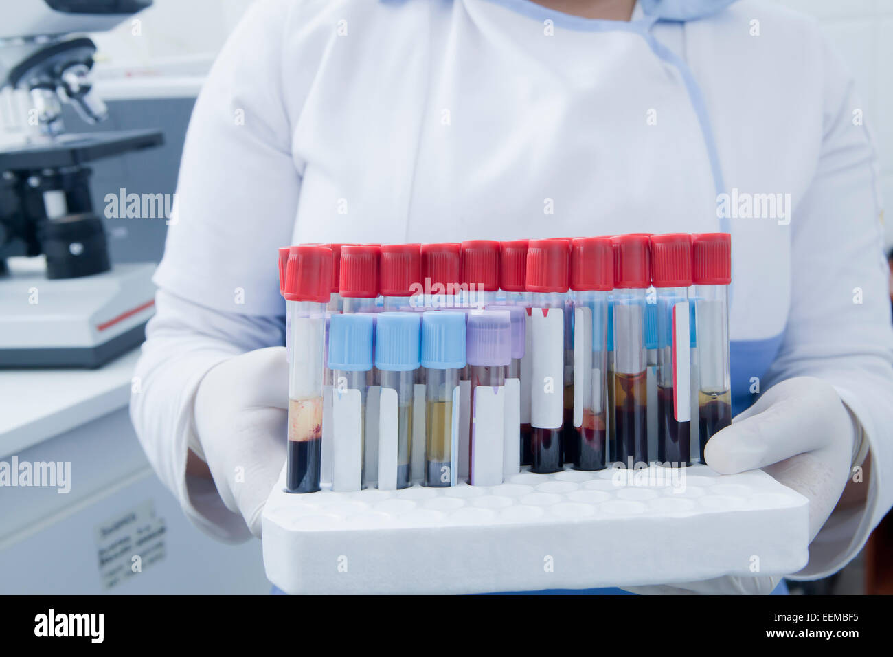 Hispanic scientist holding blood samples in test tube rack in laboratory Stock Photo