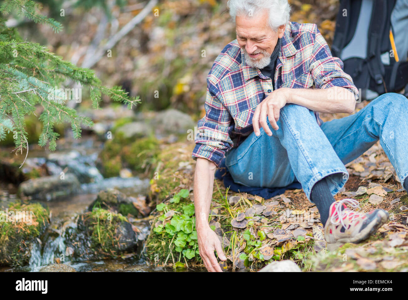 Caucasian hiker dipping fingers in forest creek Stock Photo