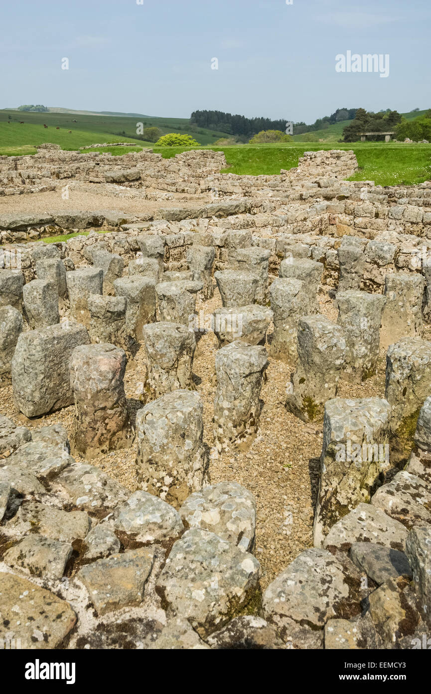 Hadrians Wall bath house at Vindolanda Village Stock Photo Alamy