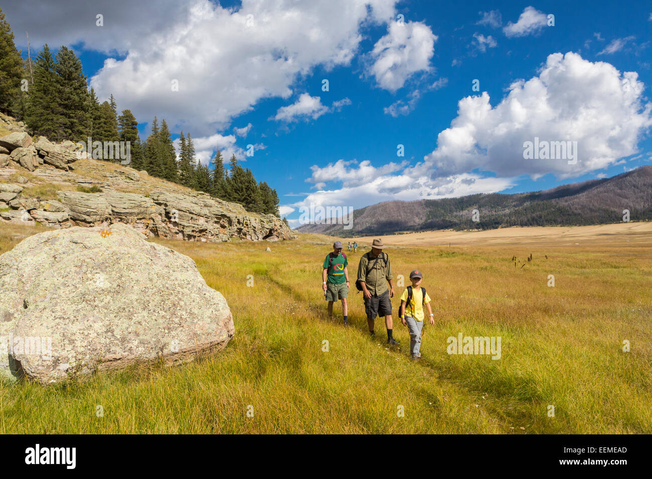 Caucasian men and boy hiking in grassy remote landscape Stock Photo - Alamy