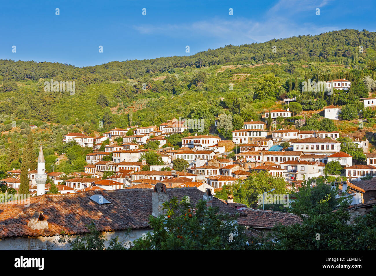 Private Aegean Villages Tour: Kirazli, Camlik, and Sirince, Izmir - TURQUIA