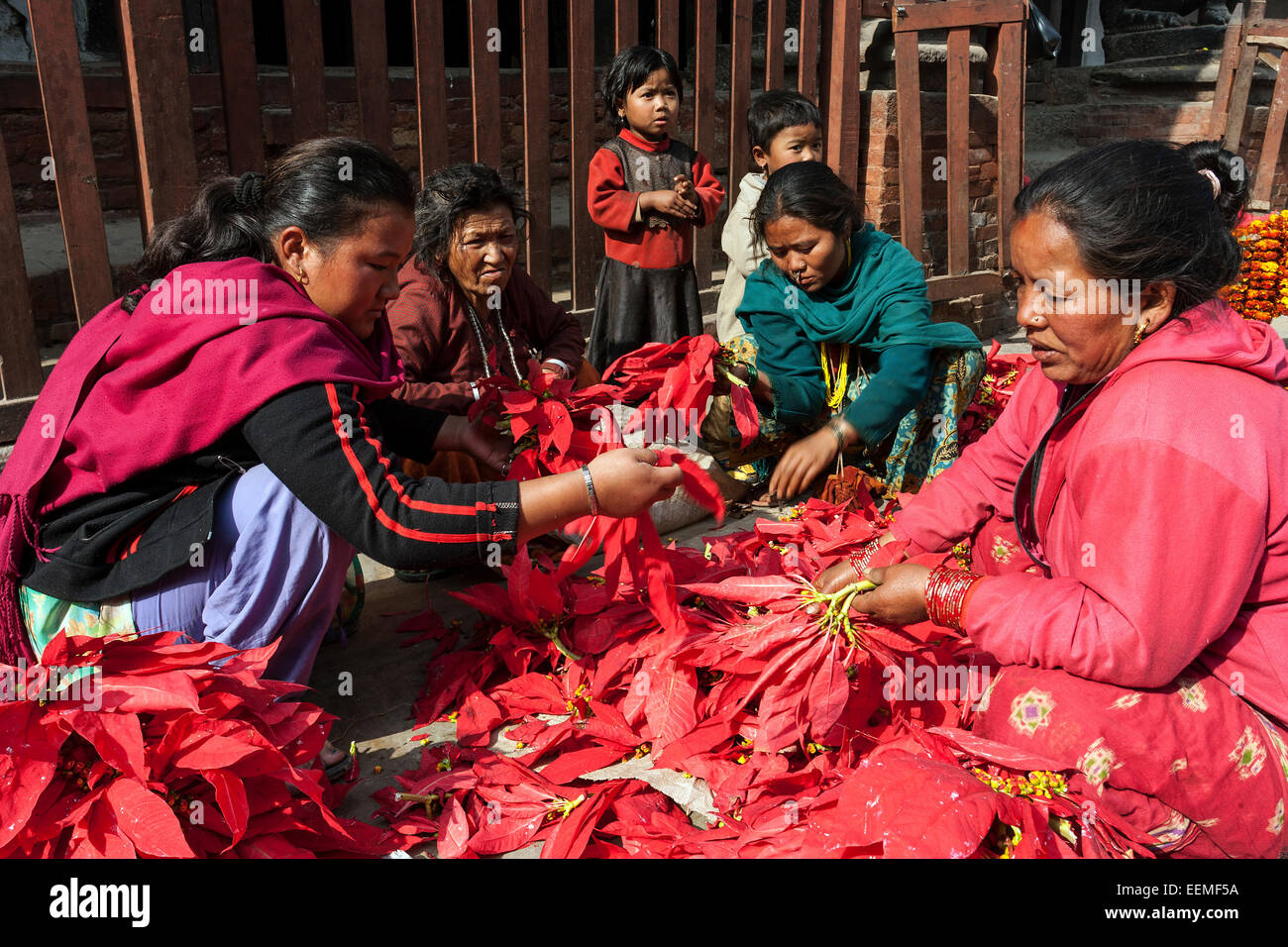 Flower girls, poinsettias, old town, Kathmandu, Nepal Stock Photo