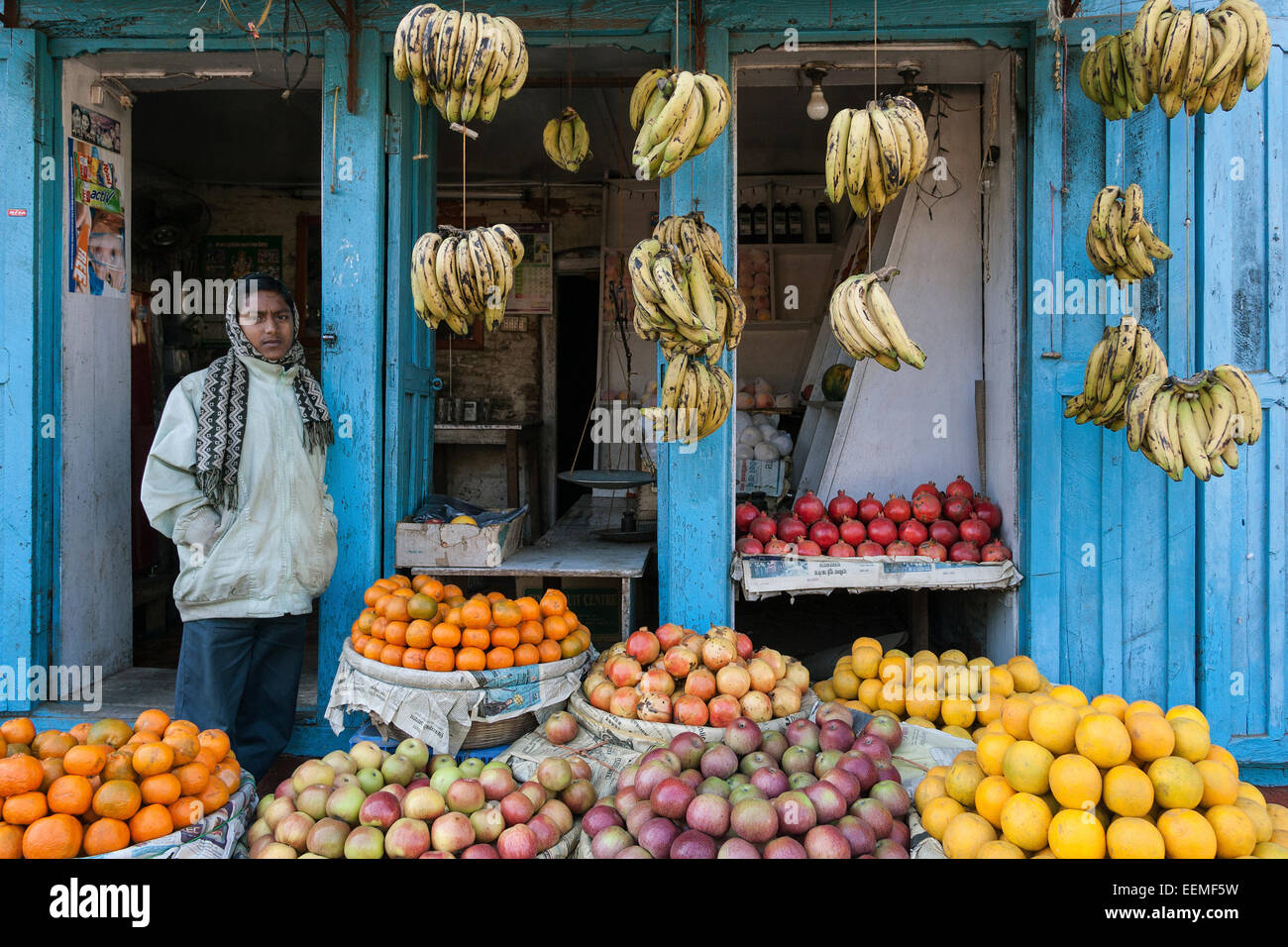 Fruit stand, fruit sale, Nepalese, Patan, Nepal Stock Photo - Alamy