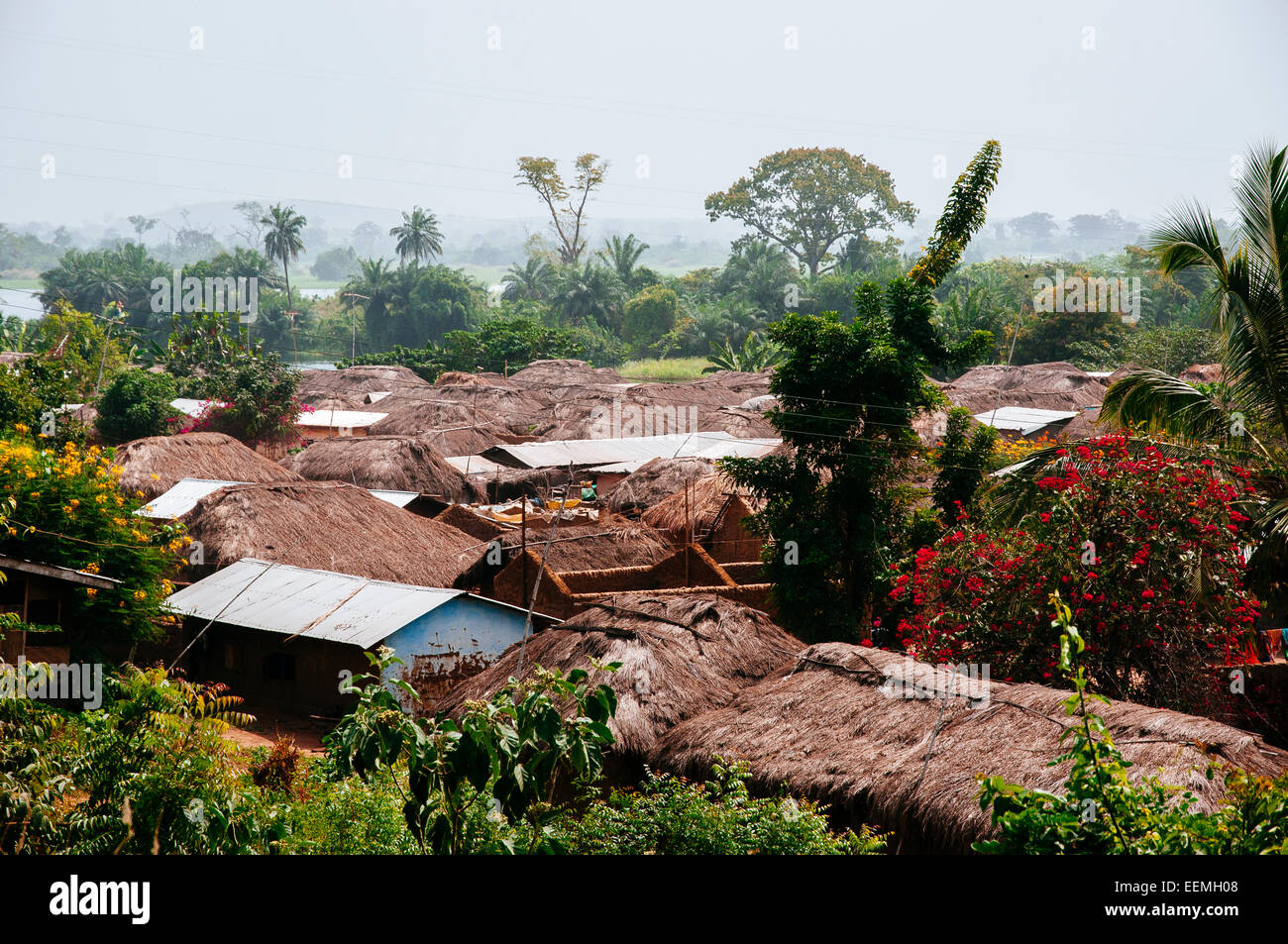 Traditional thatched roof village in Volta region, Ghana. Stock Photo