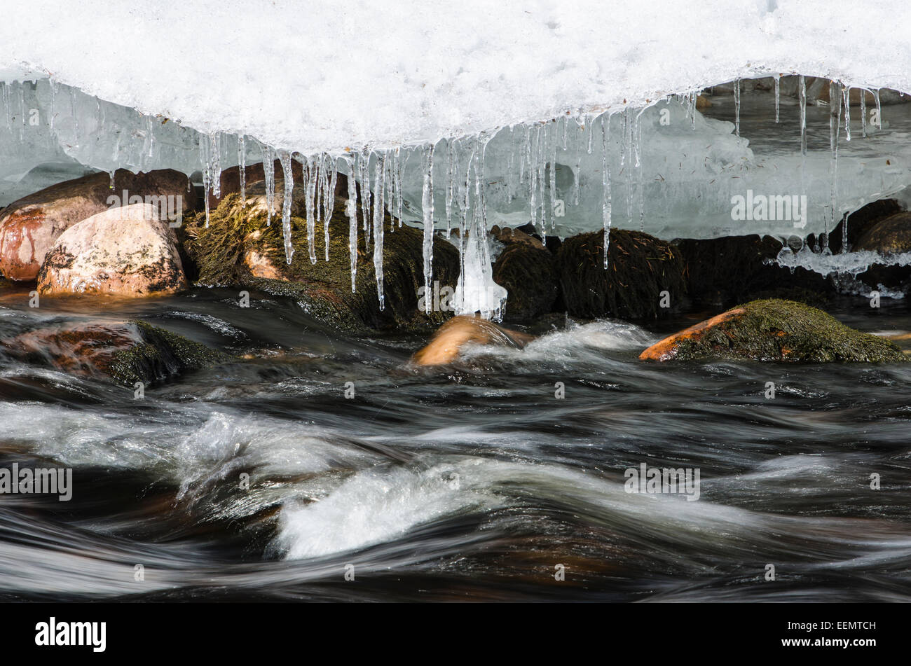 Eiszapfen an einem Bach, Ljoerdalen, Hedmark Fylke, Norwegen, April 2012 Stock Photo