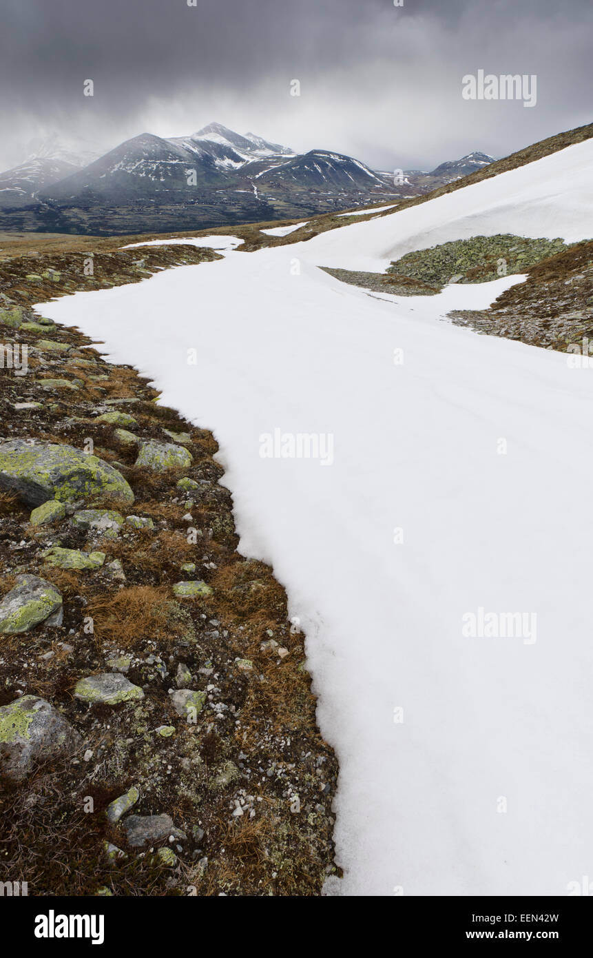 Schneeschauer ueber dem Rondane Nationalpark, Hedmark Fylke, Norwegen, Mai 2011 Stock Photo