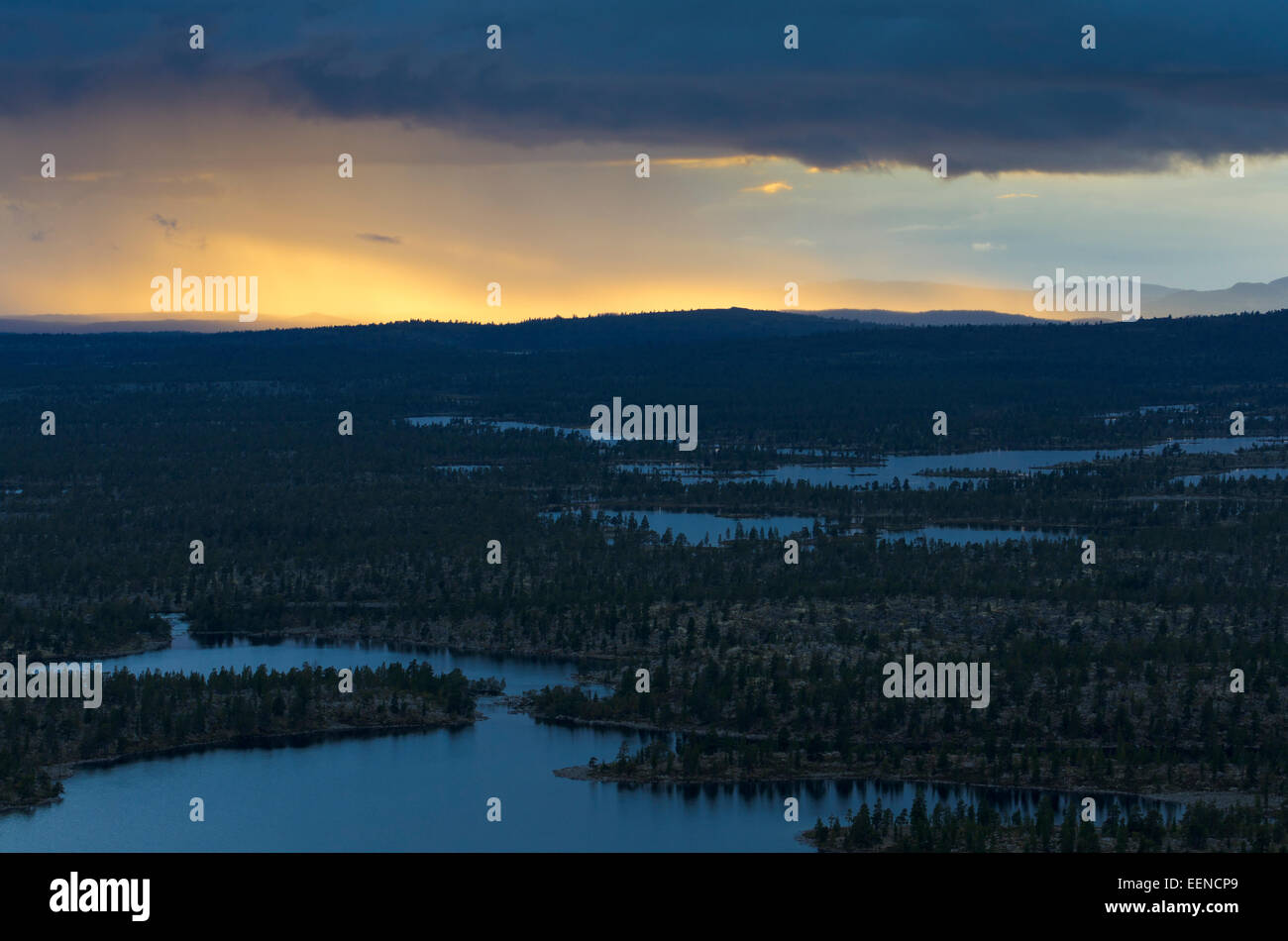 evening light Femundsmarka Nationalpark, Soer-Troendelag Fylke, Norway, August 2011 Stock Photo