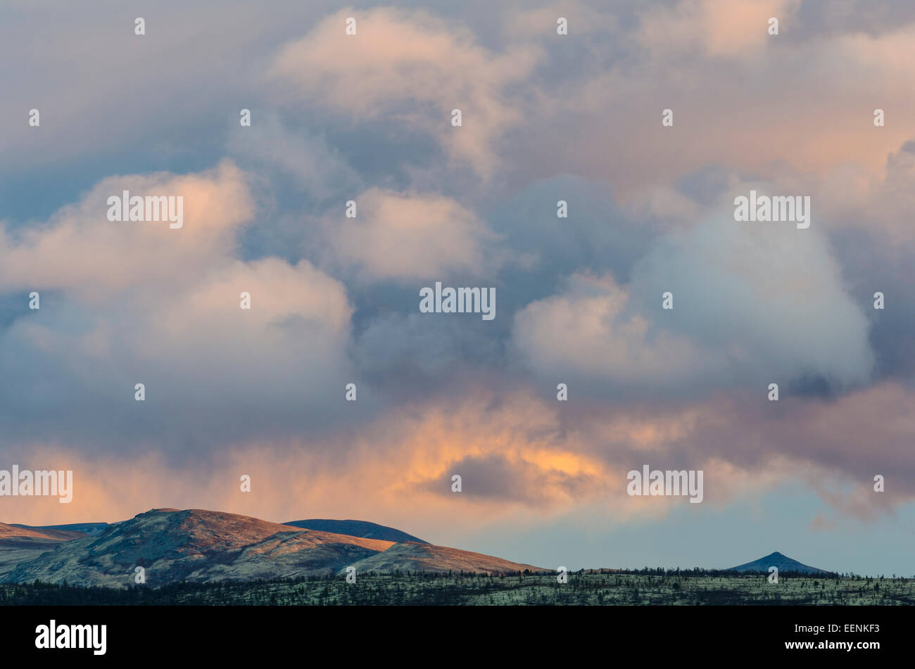 evening light im Alvdal Vestfjell, Hedmark Fylke, Norway, September Stock Photo