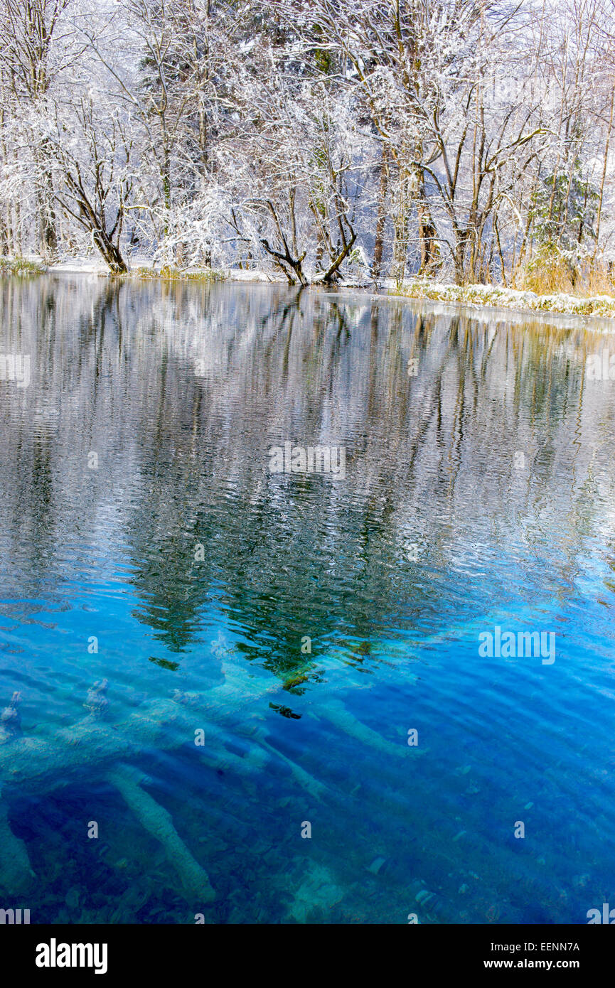 Branches of submerged trees hi-res stock photography and images - Alamy