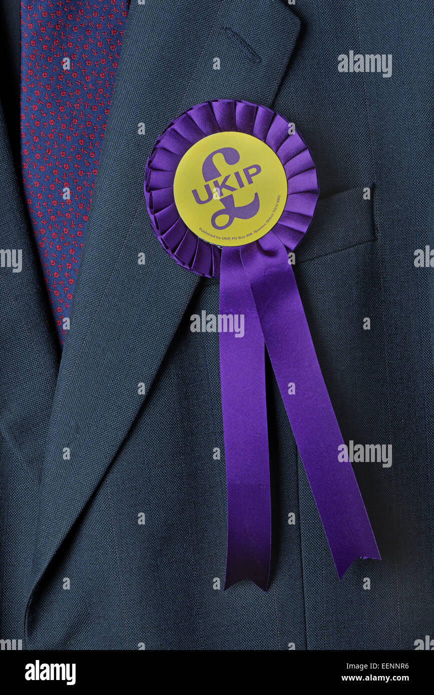 Ukip rosette worn on a suit jacket by a party supporter. Election concept Stock Photo