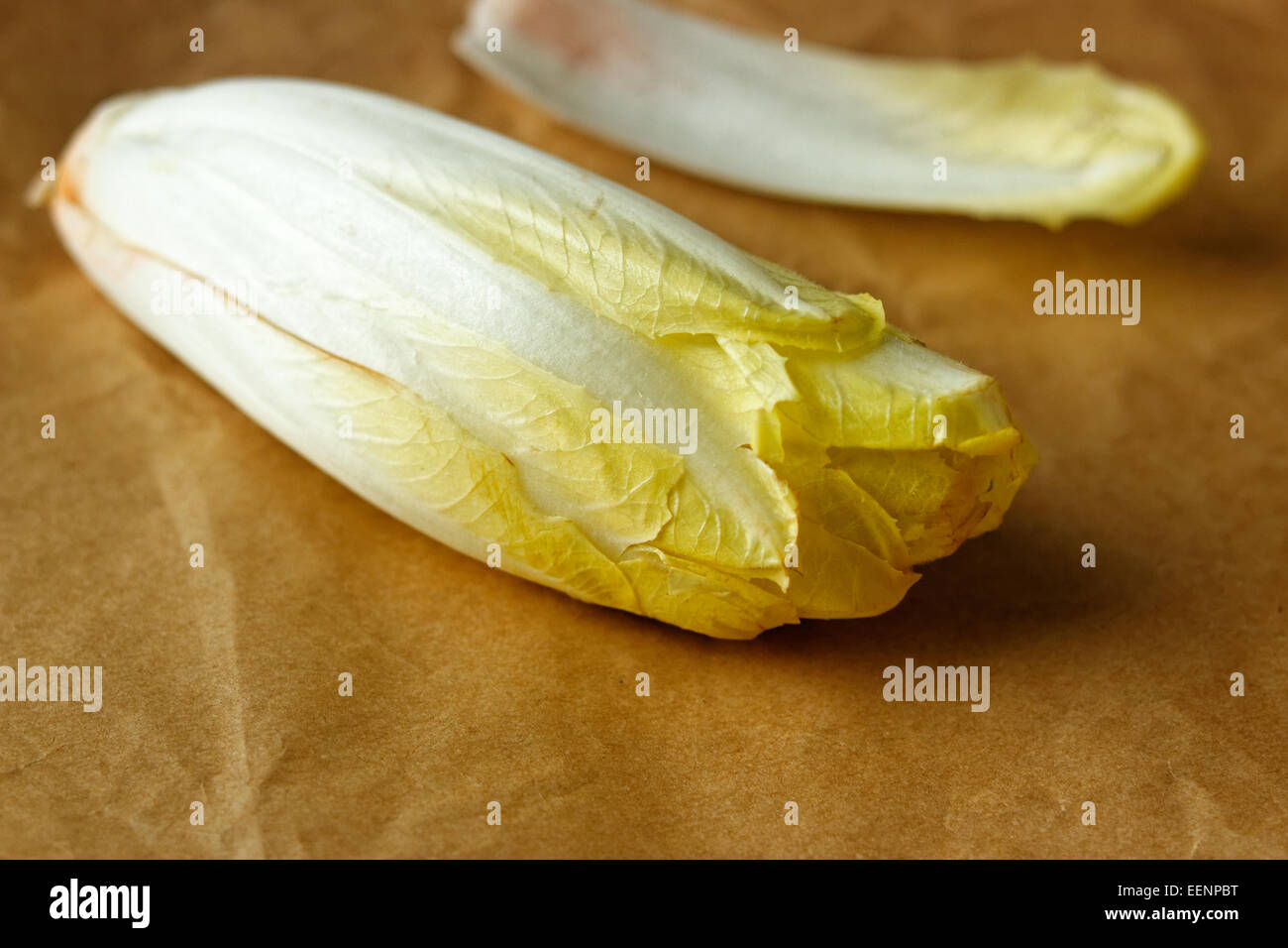 Chicory or Endive Stock Photo