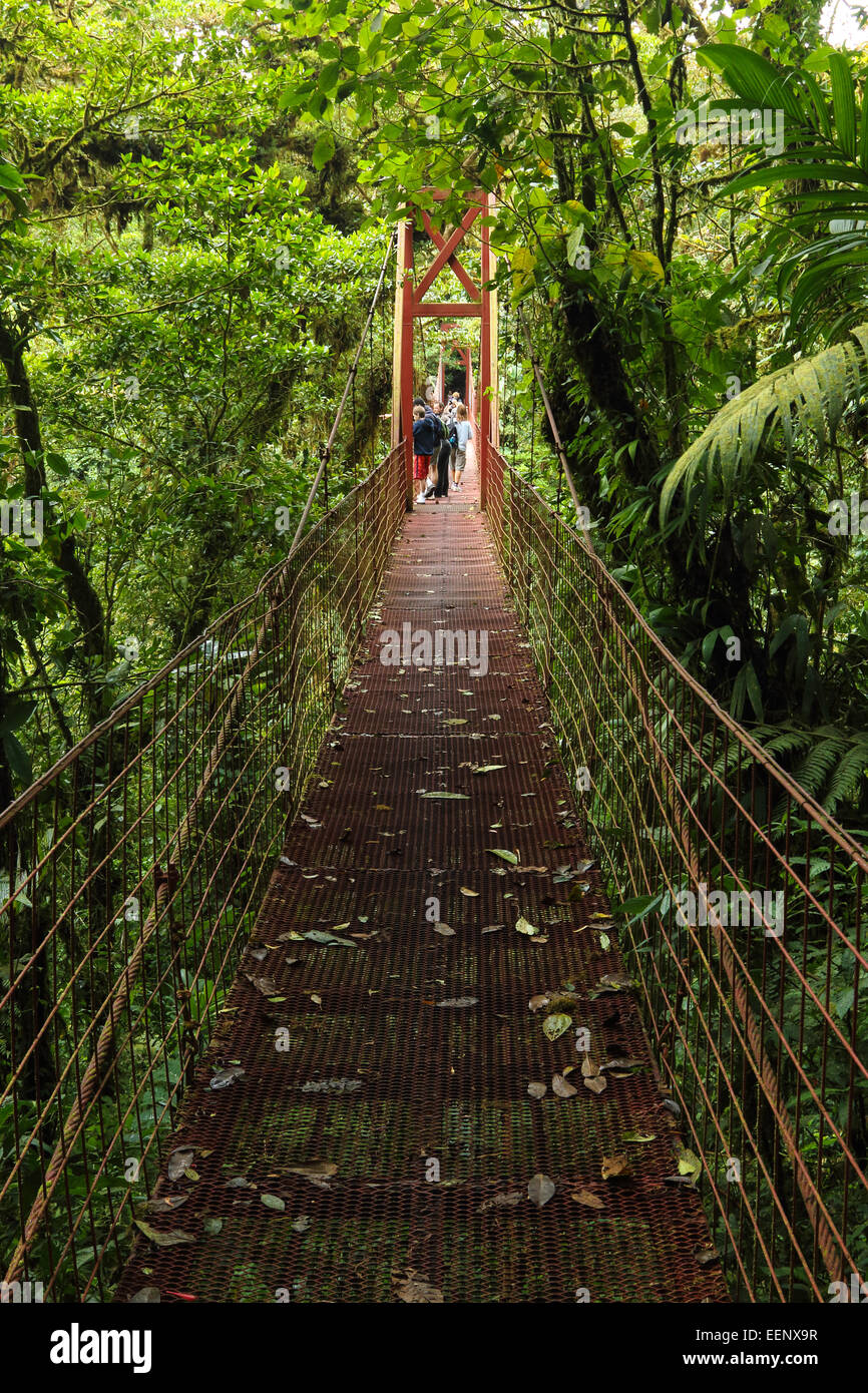 High suspension bridge allowing tourists to view the wildlife in the forest canopy. Monteverde Biological Reserve, Costa Rica. Stock Photo