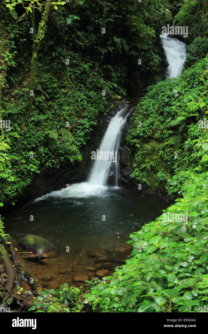 Waterfall in Monteverde Biological Reserve, Costa Rica Stock Photo