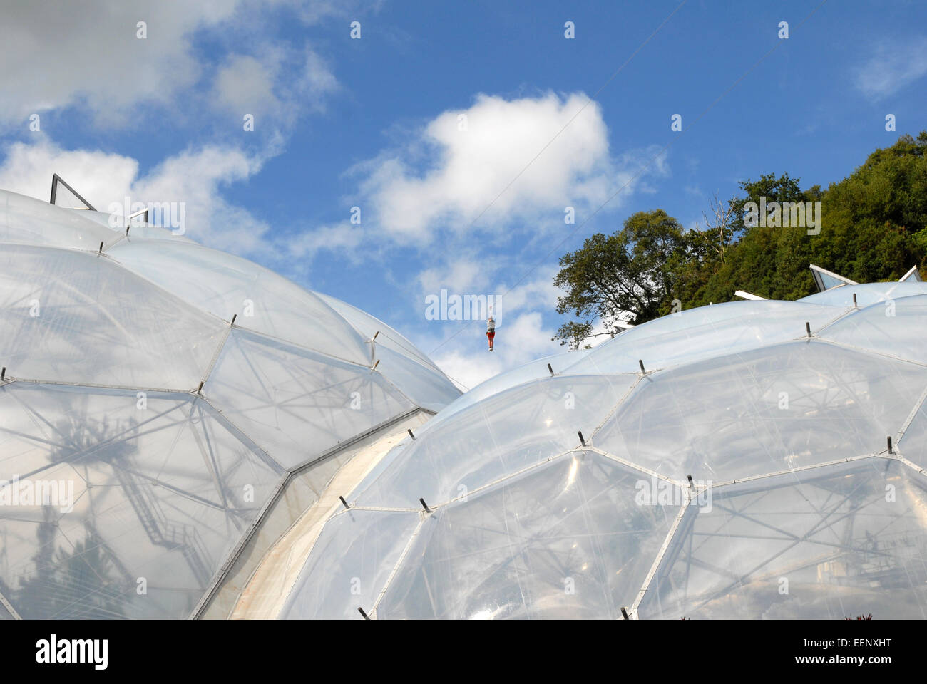 Eden Project, Cornwall with visitor flying over the biomes on the zip wire. Stock Photo