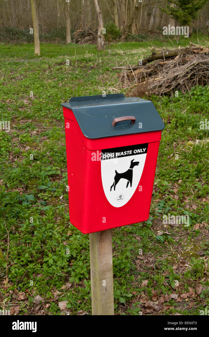 Dog waste bin in woodland Stock Photo