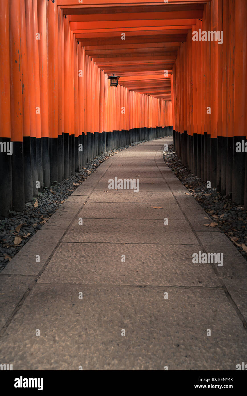 Thousands of red torii gates line the path at Fushimi Inari shrine in ...