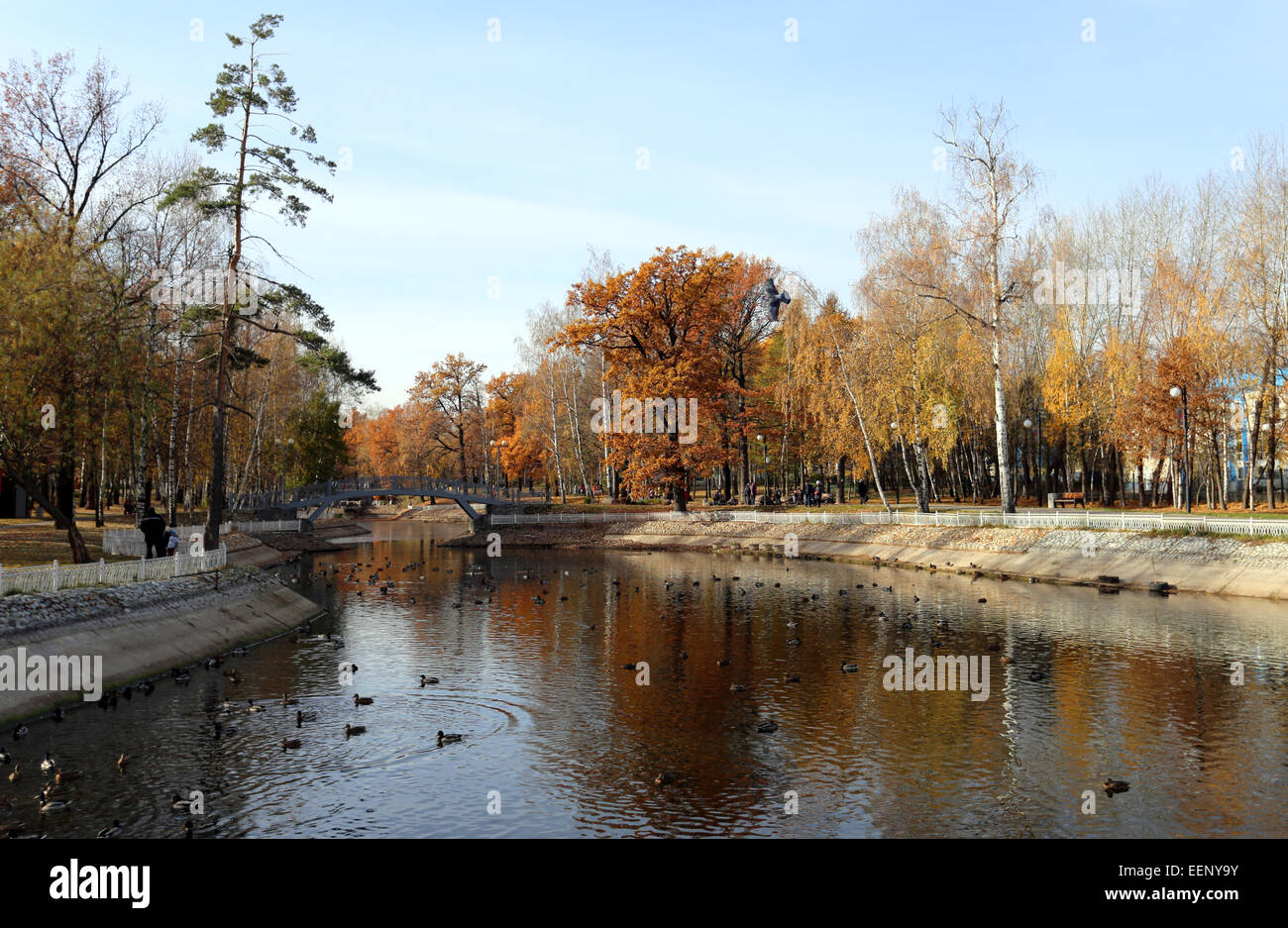 Very beautiful autumn landscape in the forest Stock Photo - Alamy
