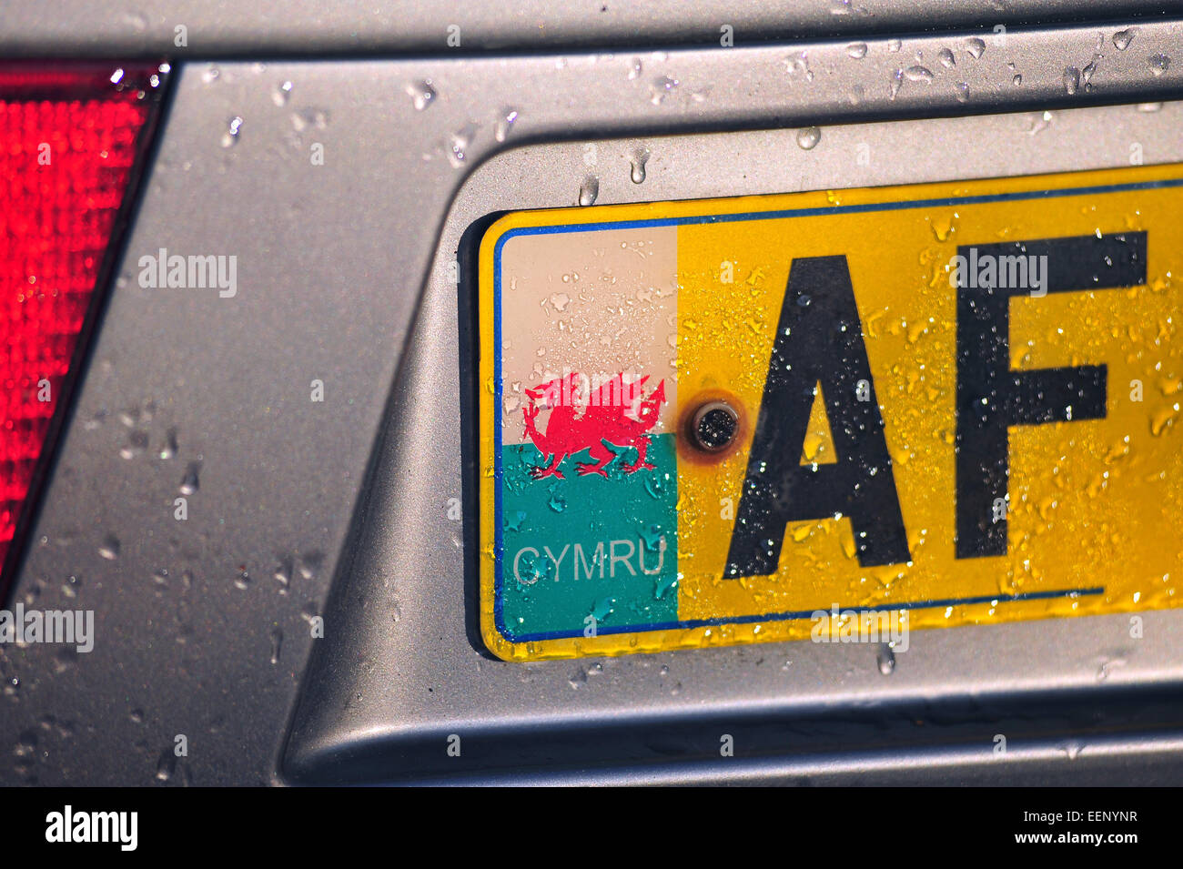 a-welsh-dragon-on-a-welsh-number-plate-EENYNR.jpg