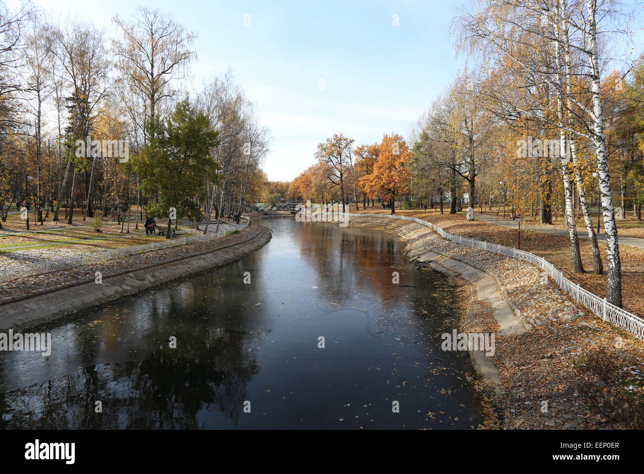 Very beautiful autumn landscape in the forest Stock Photo - Alamy