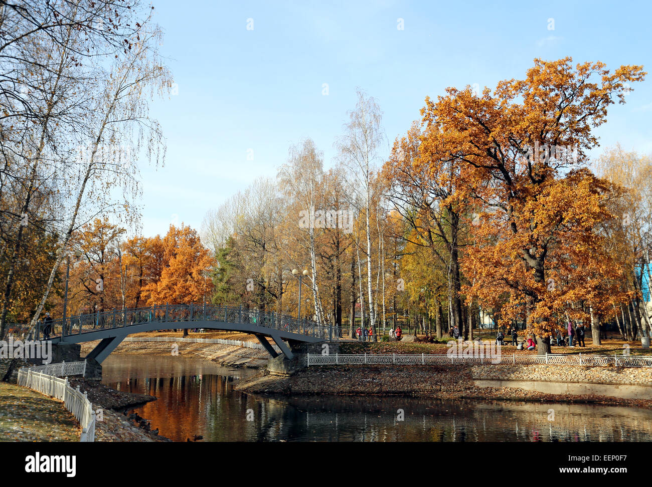 Very beautiful autumn landscape in the forest Stock Photo - Alamy