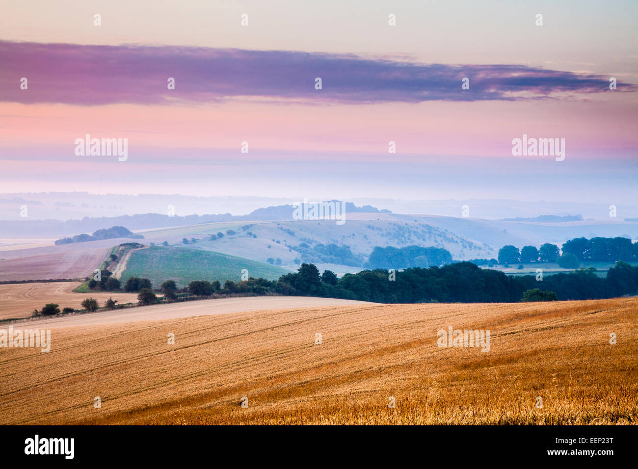 A midsummer dawn view over the Marlborough Downs in Wiltshire from Liddington Hill. Stock Photo