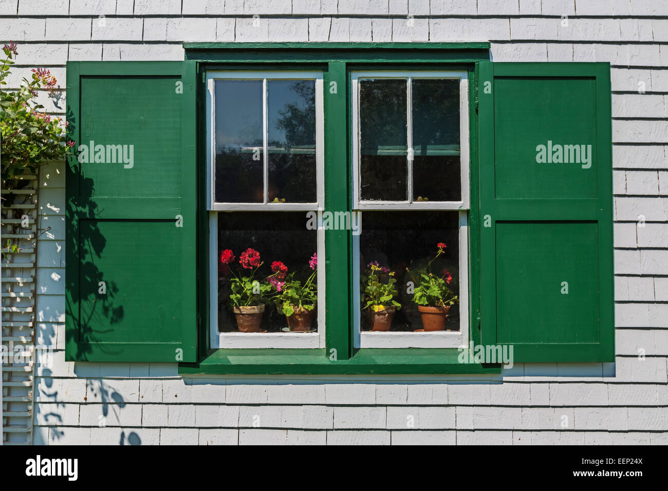 Pots of flowering geraniums in the window of Green Gables House. Located in Cavendish, Prince Edward Island, Canada. Stock Photo