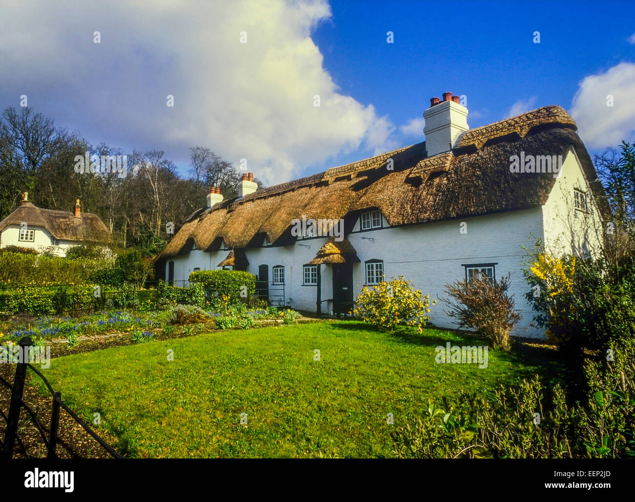 Thatched cottages at Lyndhurst. New Forest. Hampshire Stock Photo
