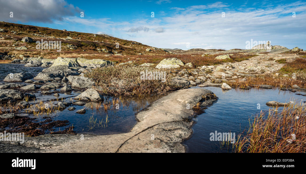 Hardangervidda, Norway - landscape on the marked path to the north east of the DNT hut at Krækkjahytte Stock Photo