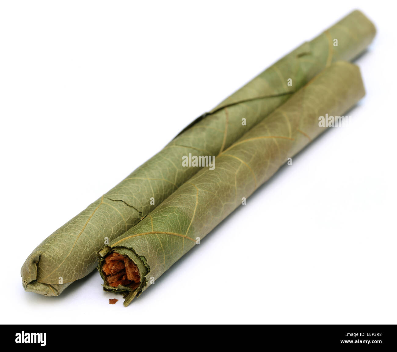 Small Cigars Stock Photos Small Cigars Stock Images Alamy