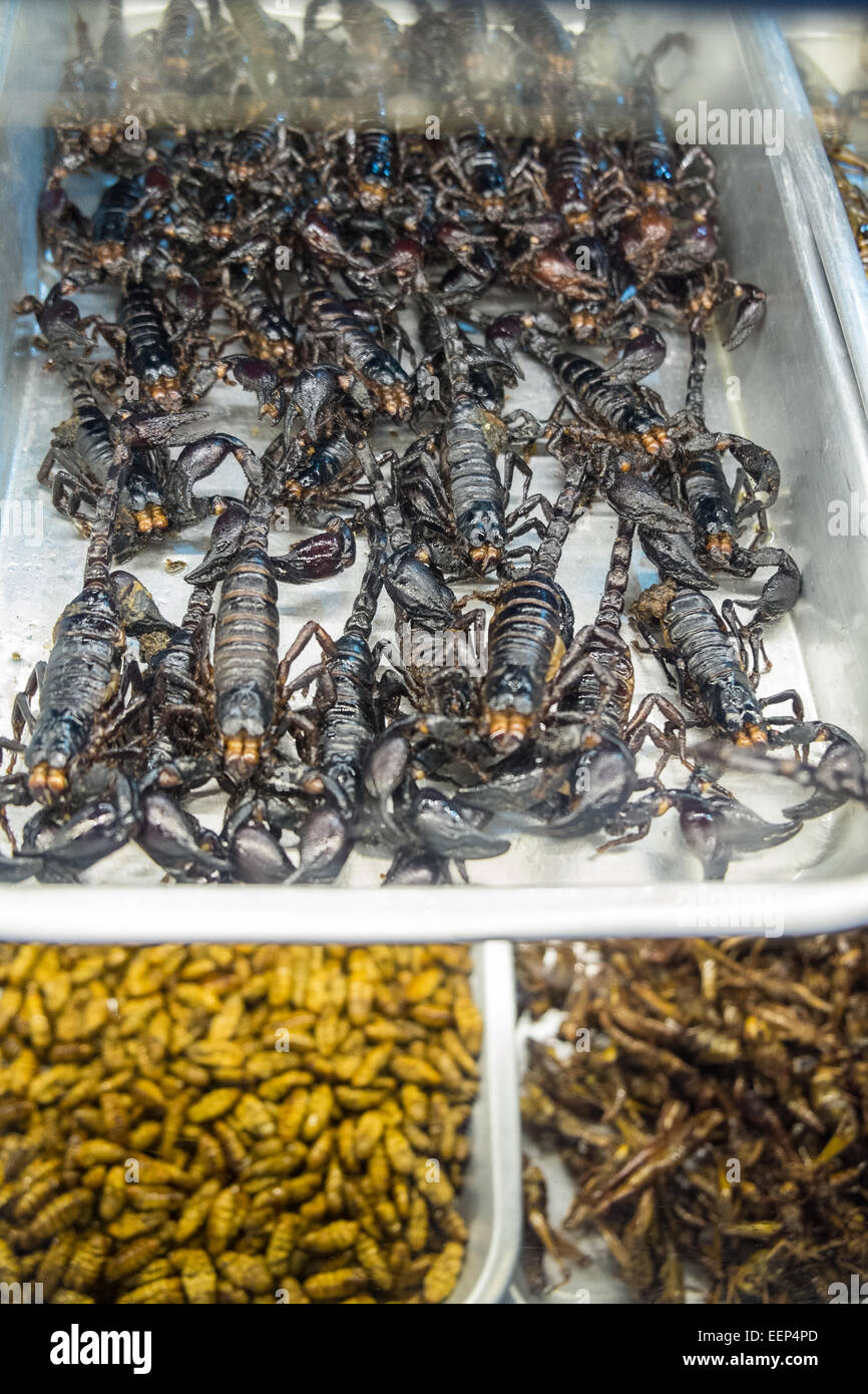 Walking Street centre of sex industry of Pattaya,Thailand with vendor  selliing scorpions,edible,eat,insects,tourist,Pattaya Stock Photo - Alamy