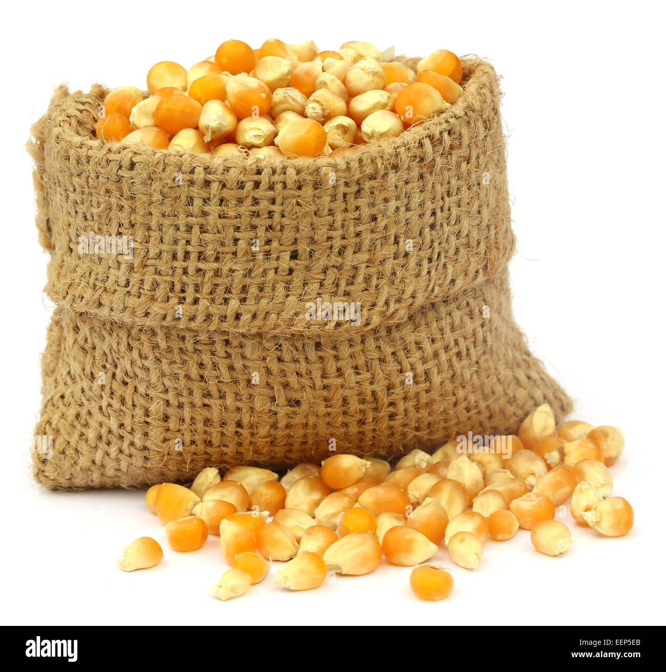 Whole Corn 40 lb Bag | Livestock and Wildlife Feed | Healthy Harvest –  Healthy Harvest Feed