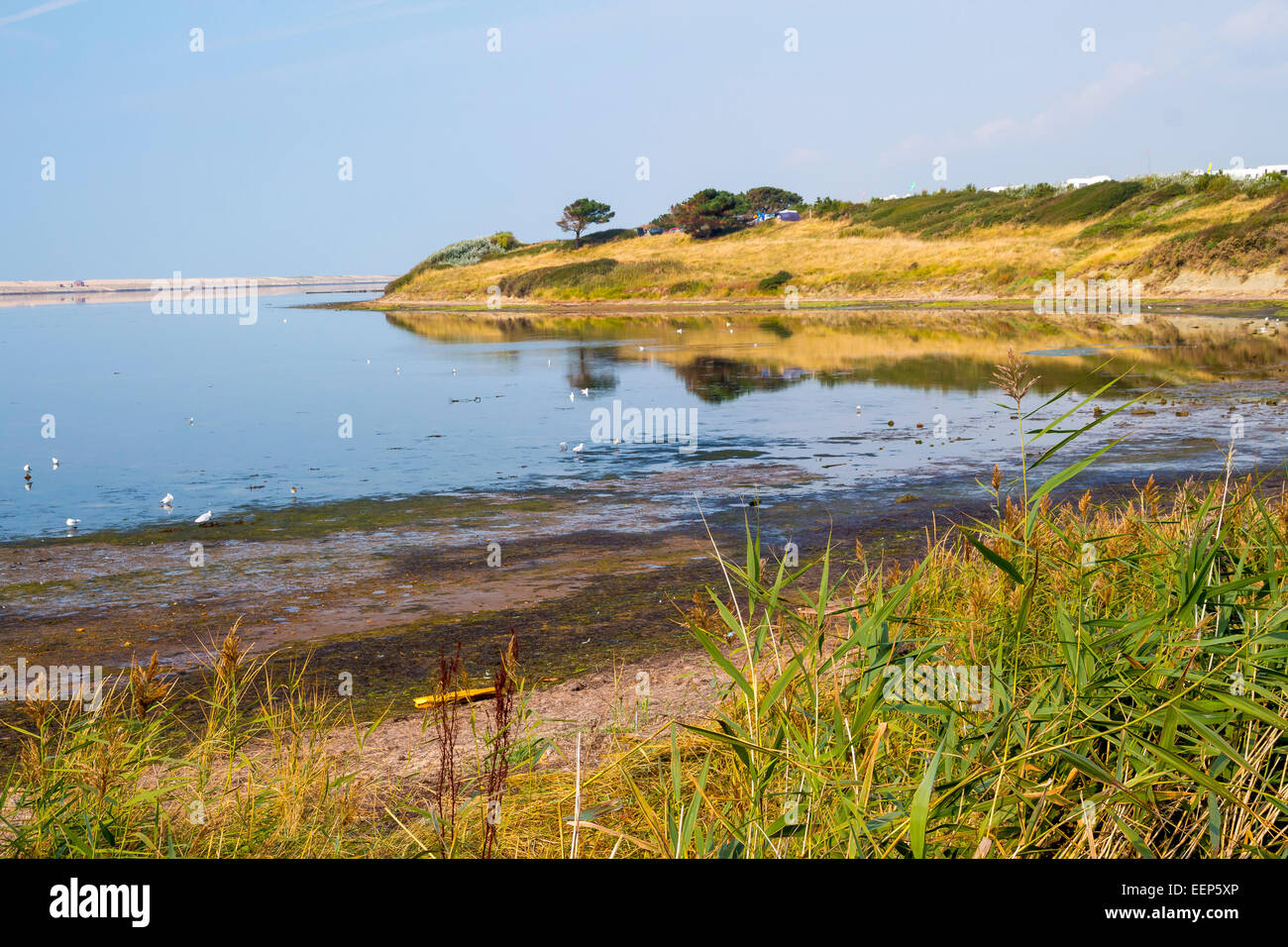 Summers day at The Fleet Lagoon near Weymouth Dorset England UK Europe