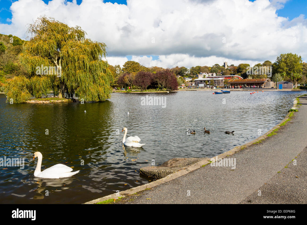 Helston Boating Lake Cornwall England UK Europe Stock Photo