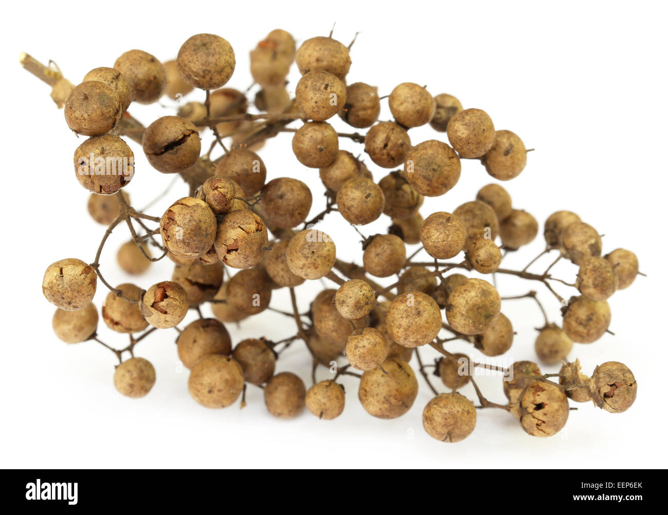 Henna seeds over white background Stock Photo