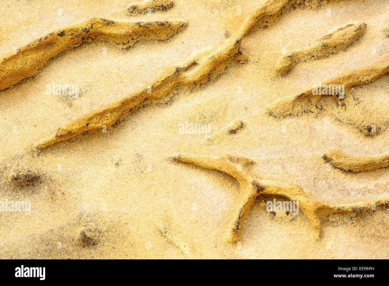 Pseudokarst in sandstone of the coastal Eoceno flysch. Jaizkibel mountain. Euskadi. Basque country. Spain. Europe Stock Photo