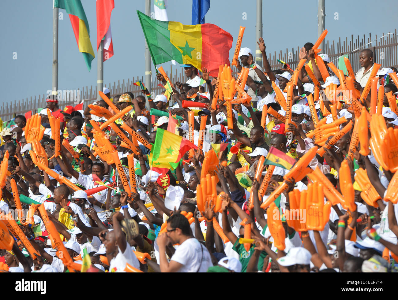 Mongomo, Equatorial Guinea. 19th Jan, 2015. African Cup of Nation football tournament. Ghana versus Senegal. Supporters fill the stands © Action Plus Sports/Alamy Live News Stock Photo