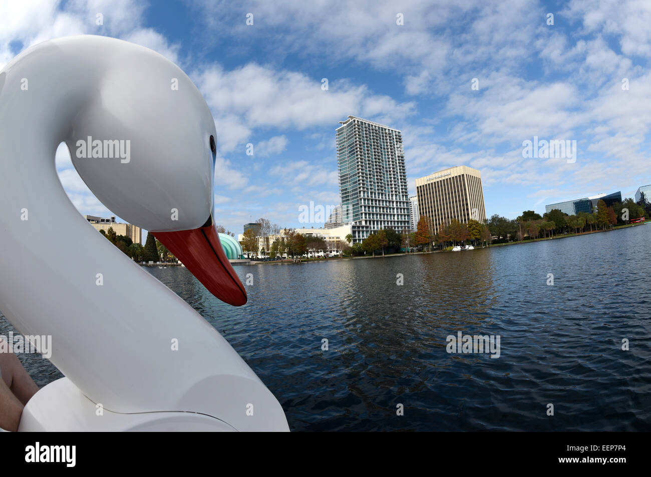 paddle boats orlando florida swan paddle boat stock photos swan paddle boat stock paddle boats orlando florida swan paddle boat stock photos swan paddle boat stock