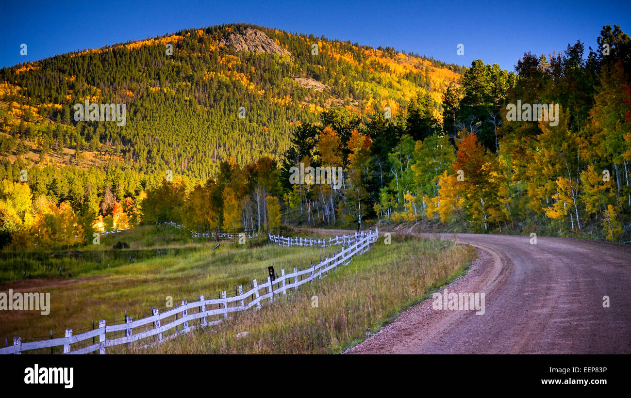 A country dirt road cuts through rural Gilpin County, Colorado as