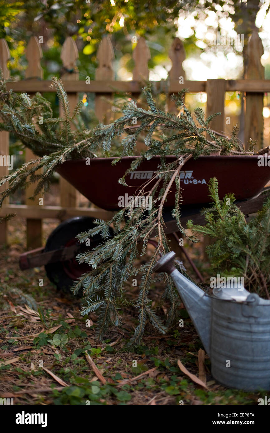 A tin watering can and pine boughs in a wheelbarrow rest next to a picket fence. Stock Photo
