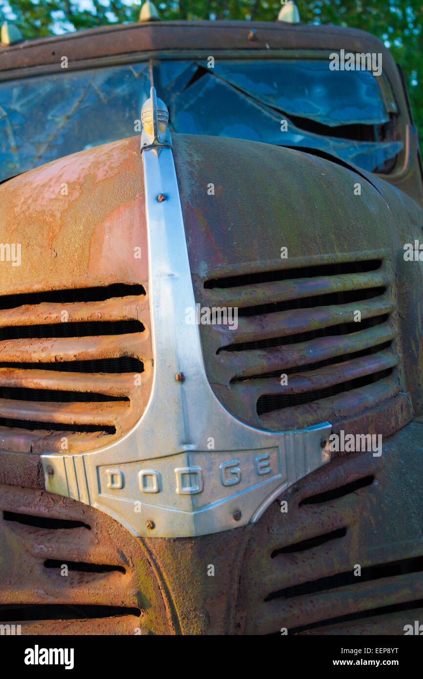 Rusty Dodge Nose Stock Photo