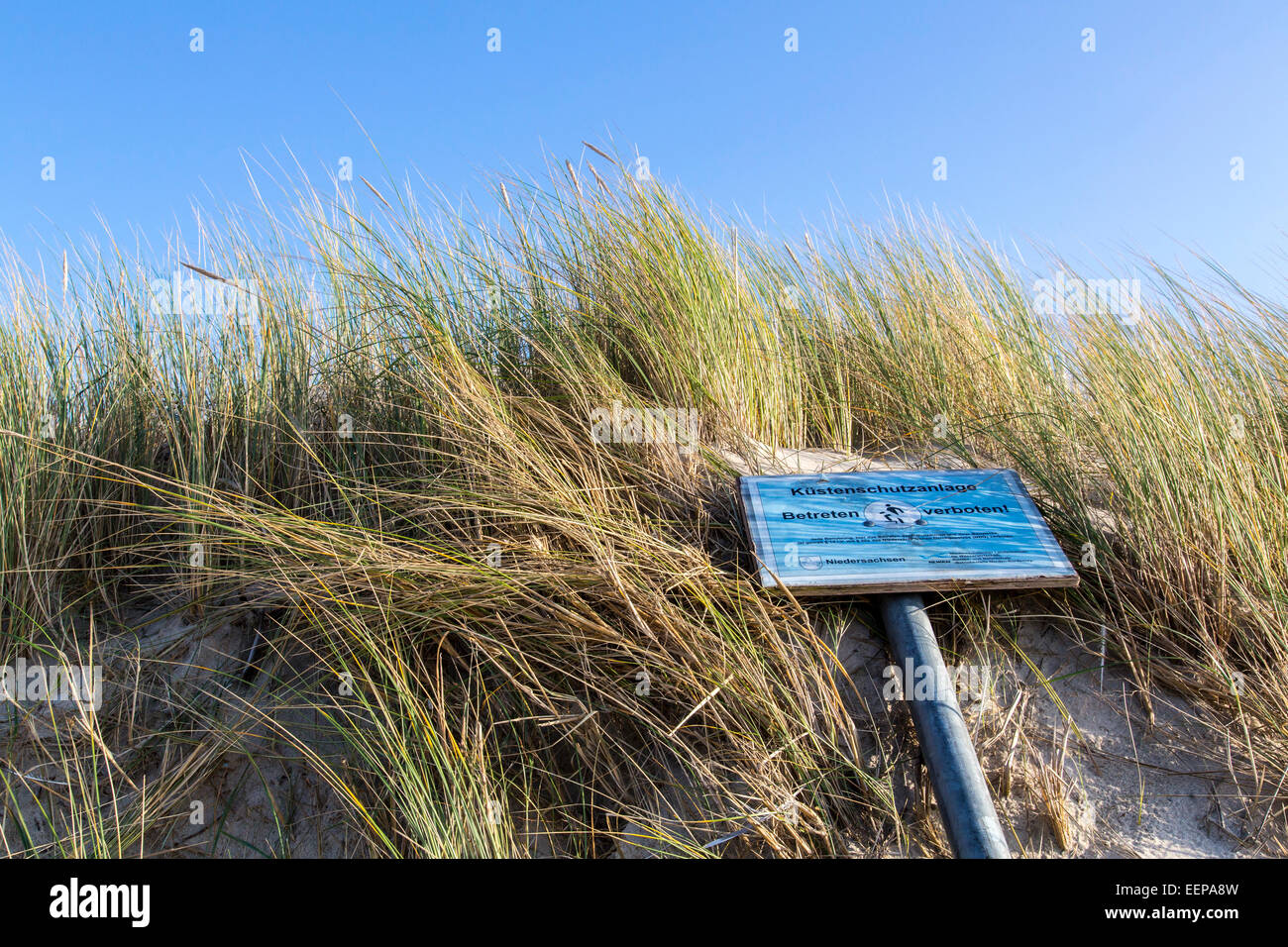 Coastal protection project on the west shore of North sea island Spiekeroog, Germany, to protect the dunes and beach from waves Stock Photo