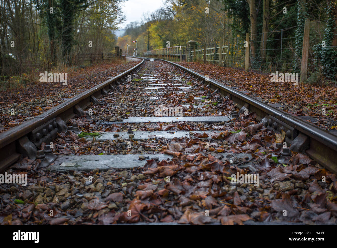 Railway Track, Matlock Stock Photo