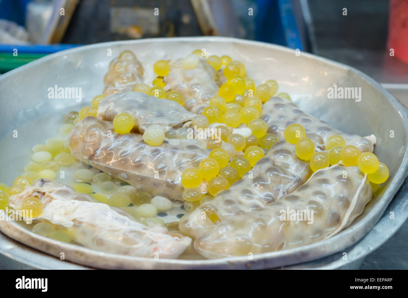 yellow Spawn of giant catfish at market Stock Photo