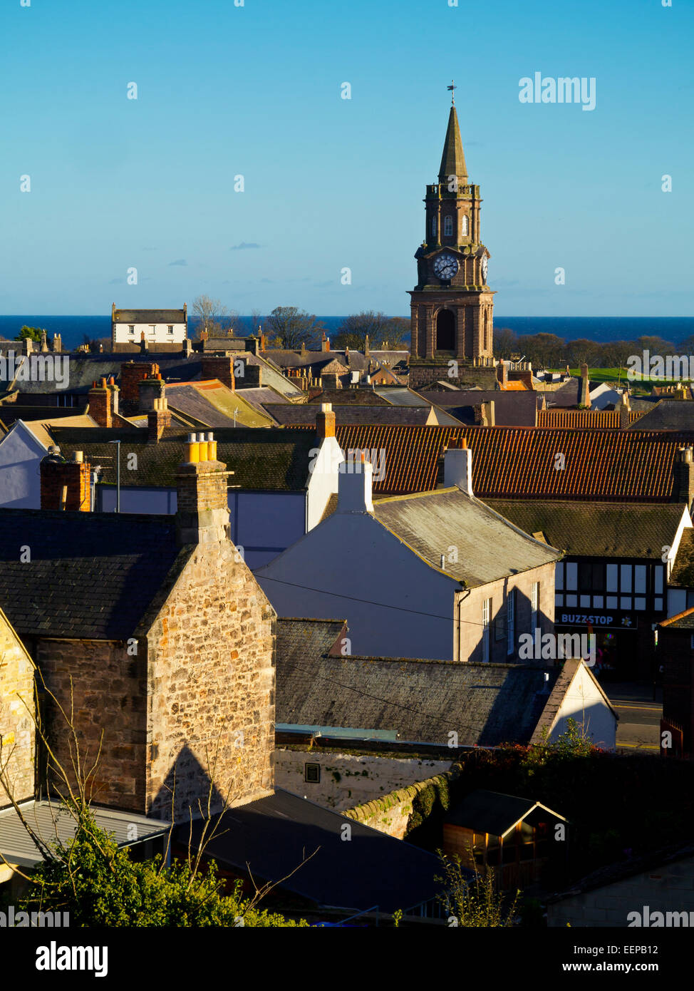 View across Berwick Upon Tweed town centre skyline with the Town Hall spire visible in the distance Northumberland England UK Stock Photo