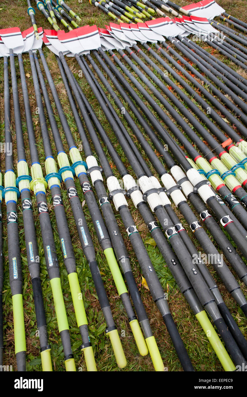 Rowing oars laid out for use. Stock Photo