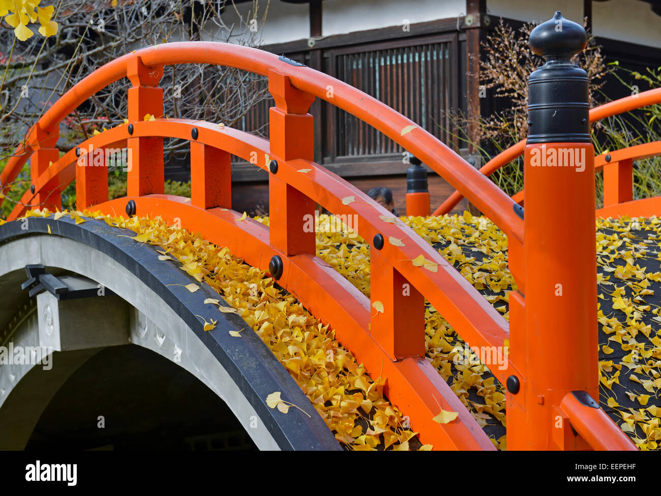 Shimogamo jinja torii hi-res stock photography and images - Alamy