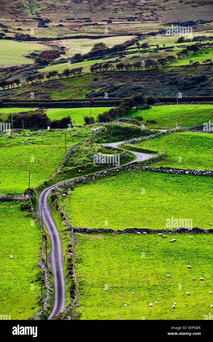 small winding country road in rural ireland Stock Photo